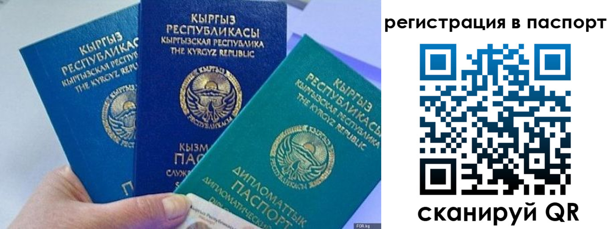 прописка 2025 в Мариинском Посаде